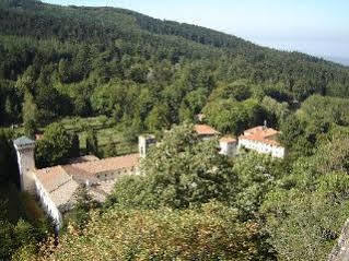 Albergo La Foresta Reggello Exterior foto